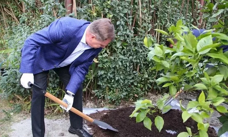 Игорь Бутман посадил дерево «Дружба народов» в Сочинском институте РУДН