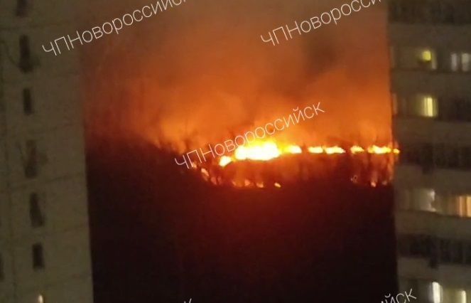 В Новороссийске произошел крупный пожар в Цемесской роще