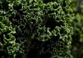 photo_2024-03-04_13-17-21