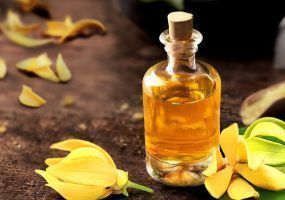 photo_2024-03-05_16-14-17