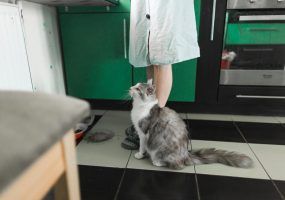 photo_2024-03-07_15-27-06