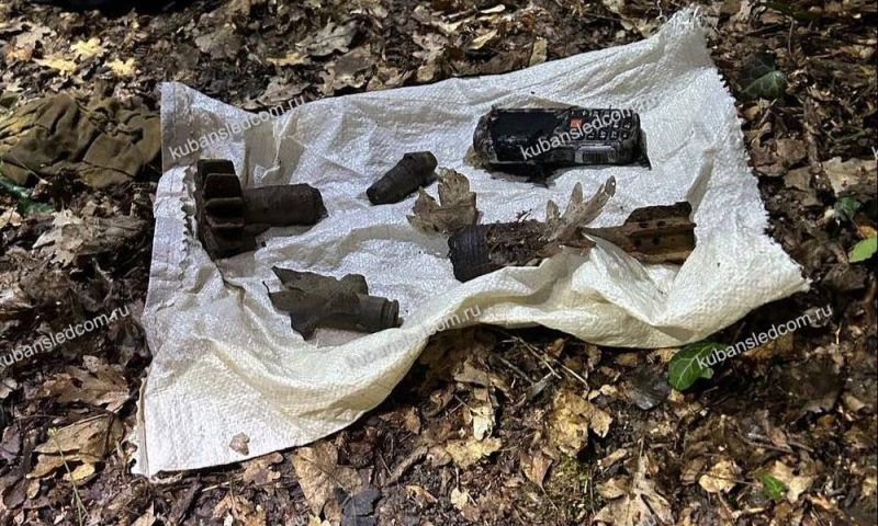 Пропавший житель Крымского района подорвался на мине в лесу