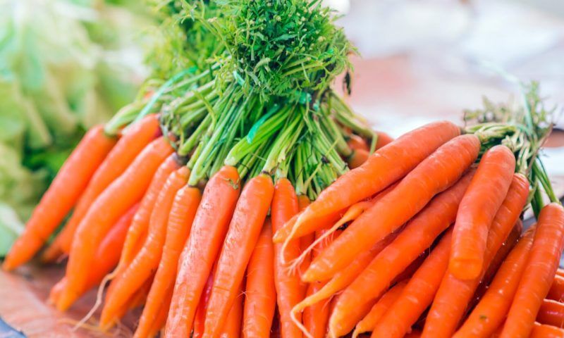 Морковь: чем полезна и кому нельзя