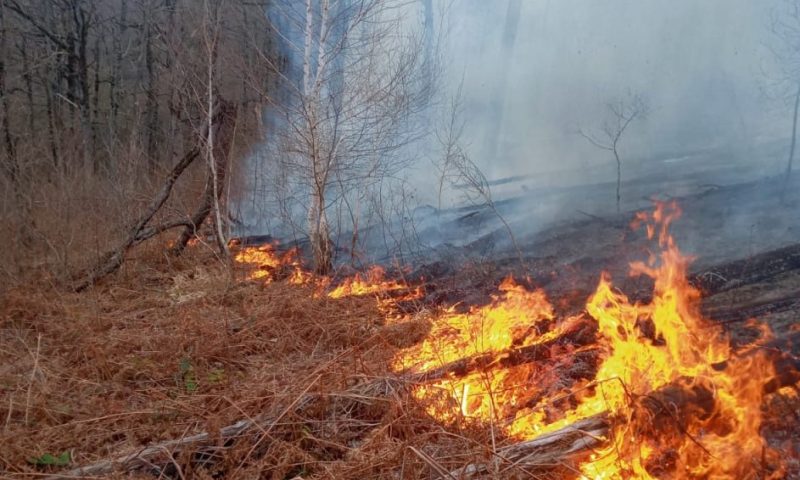 В Краснодарском крае объявили экстренное предупреждение о пожароопасности