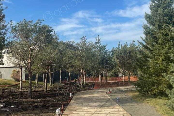 Высадку деревьев приостановили в новой локации парка «Краснодар»