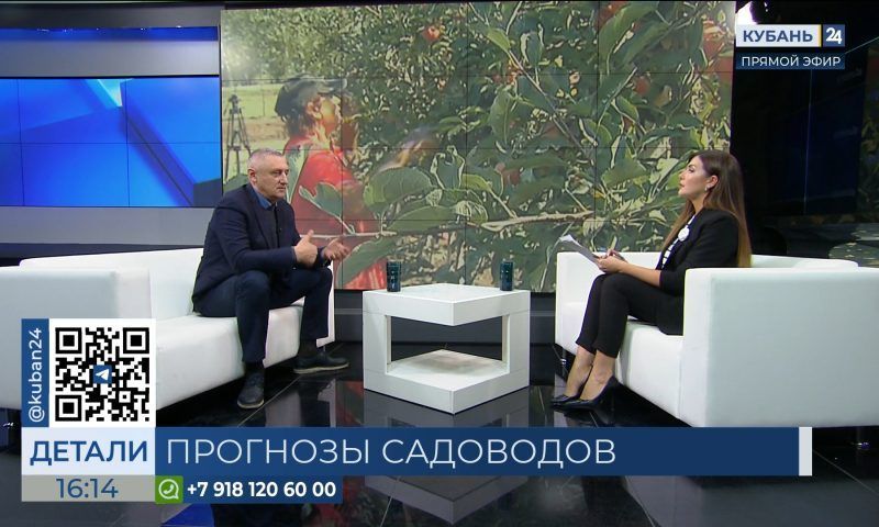 Николай Щербаков: прогнозы садоводов на урожай фруктов оптимистичные