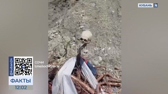 Женщина обнаружила череп во время прогулки на пляже в Сочи
