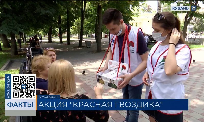 Всероссийская благотворительная акция «Красная Гвоздика» стартовала на Кубани