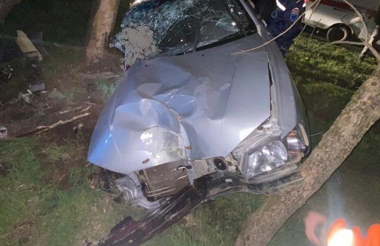 На Кубани после ДТП иномарка врезалась в дерево, ее водитель получил травмы