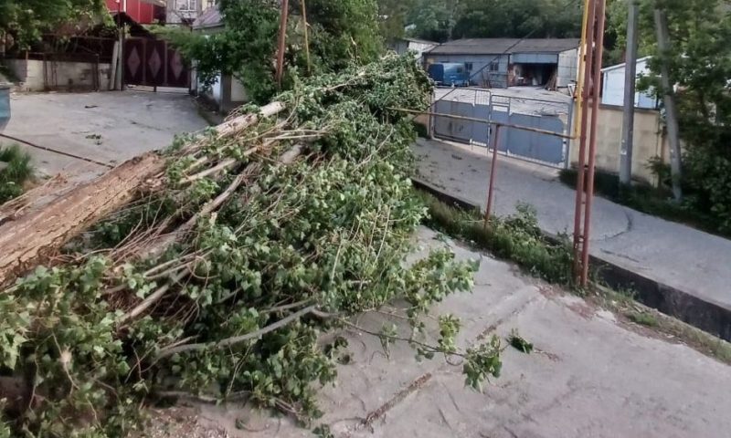 Ураганный ветер повалил деревья и оторвал козырек балкона в Новороссийске