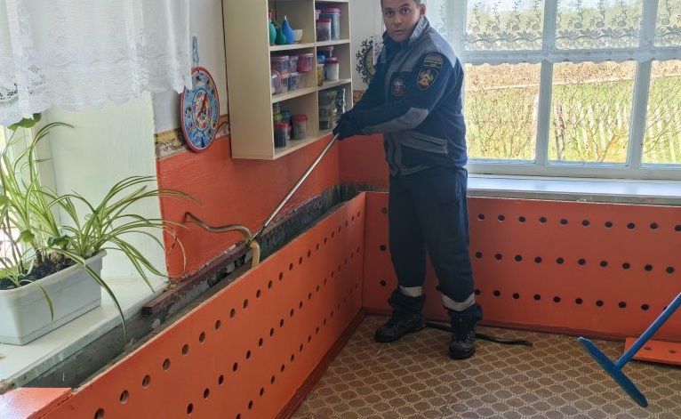 Большая змея заползла в детский сад в Краснодарском крае