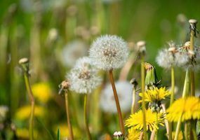 photo_2024-04-01_16-44-57