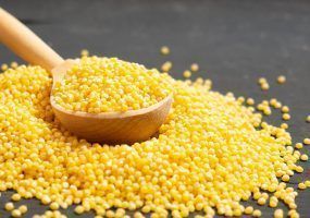 photo_2024-04-03_11-25-00