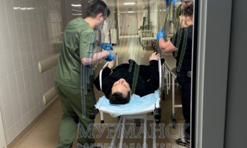 Ранее судимый уголовник ранил ножом главу Мурманской области
