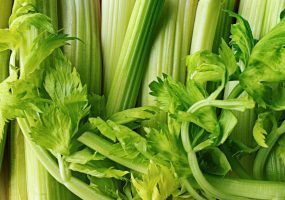 photo_2024-04-15_16-25-46