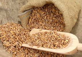 photo_2024-04-17_10-42-31