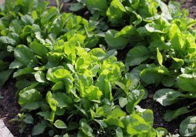 photo_2024-04-17_13-58-55