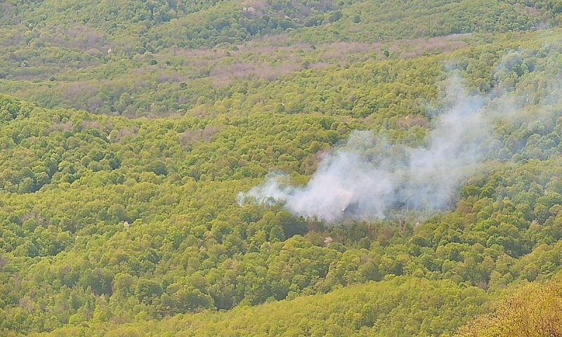 Лес загорелся на площади 0,7 га в Туапсинском районе