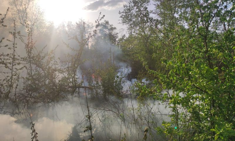 Лесной пожар под Армавиром потушили