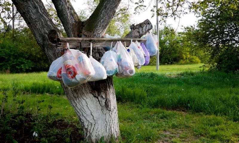Новый регоператор пообещал наладить уборку мусора в трех районах Кубани