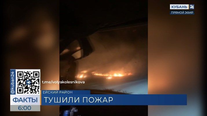 В Ейском районе ночью горели камыши возле поселка Комсомолец