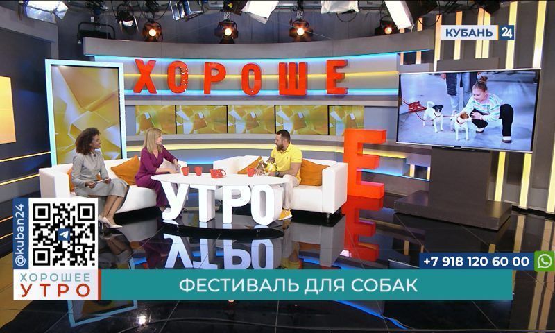 Александр Приходько: в нашей семье живет три собаки породы джек-рассел-терьер