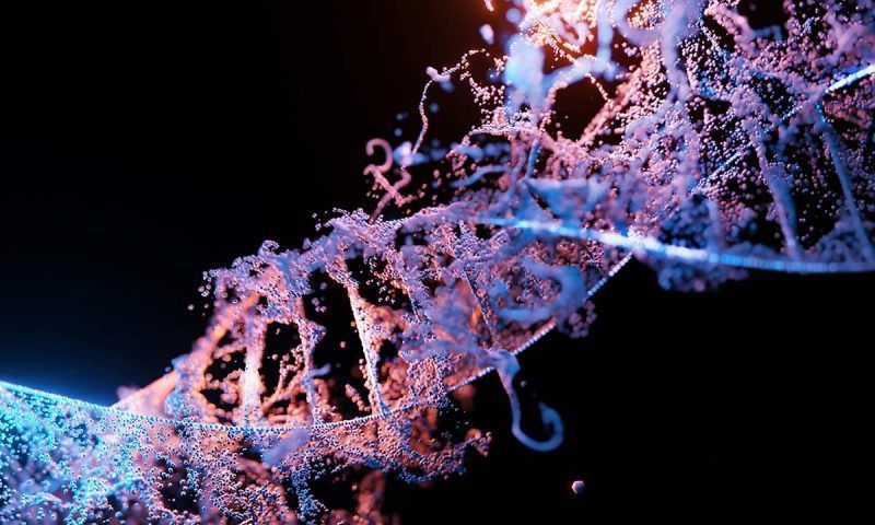 Биолог Мальцева назвала продукты, влияющие на ДНК
