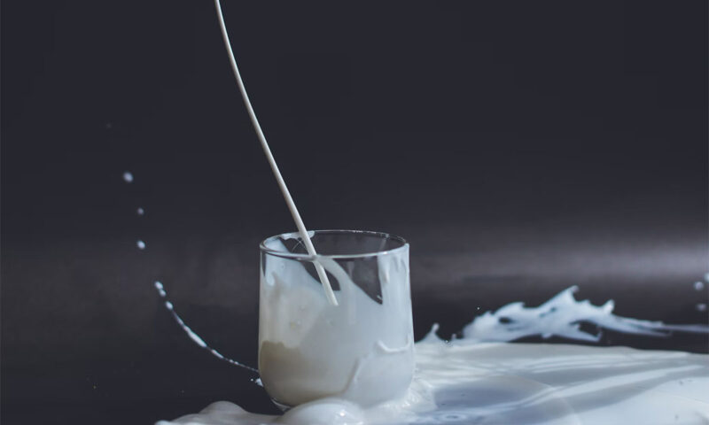 7 видов альтернативного молока для кофе по утрам
