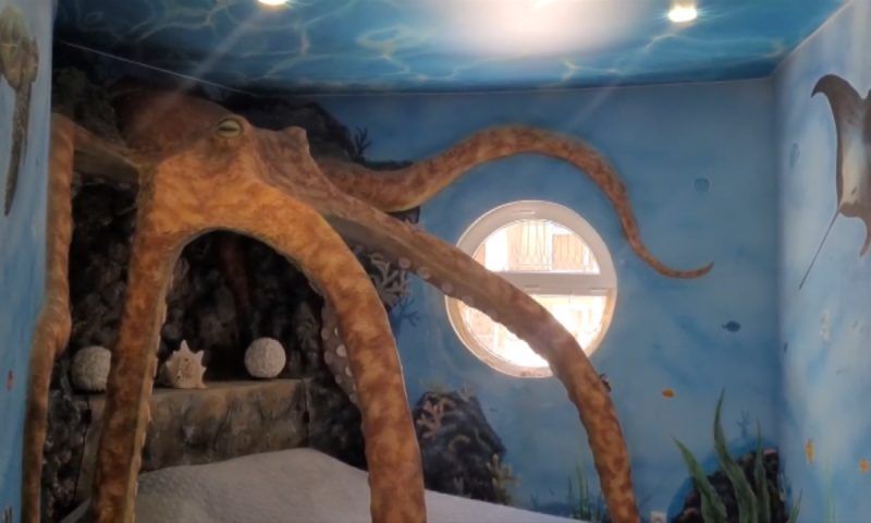 Кроватями-осьминогами, ракушками и каютами удивляет туристов гостиница в Сочи
