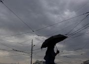Температура на 7-8 °C ниже климатической нормы установилась на Кубани