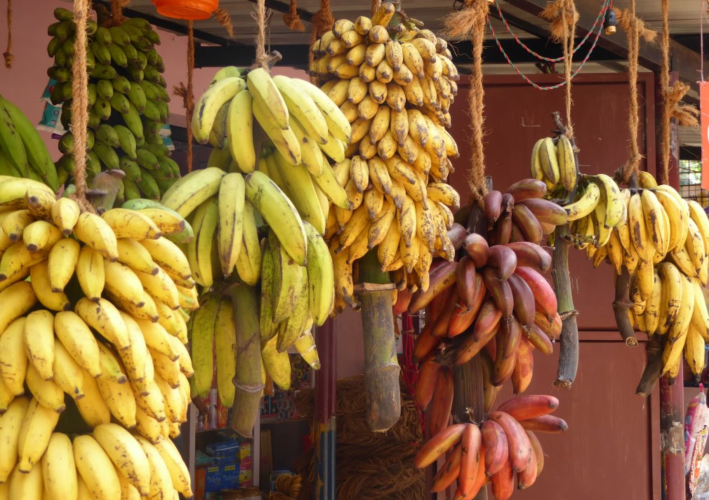 Цитрусовые, яблоки и бананы — при каких заболеваниях их есть нельзя?