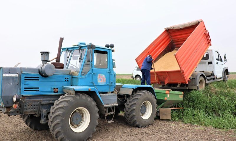 В Краснодарском крае засеяли 55 тыс. га риса