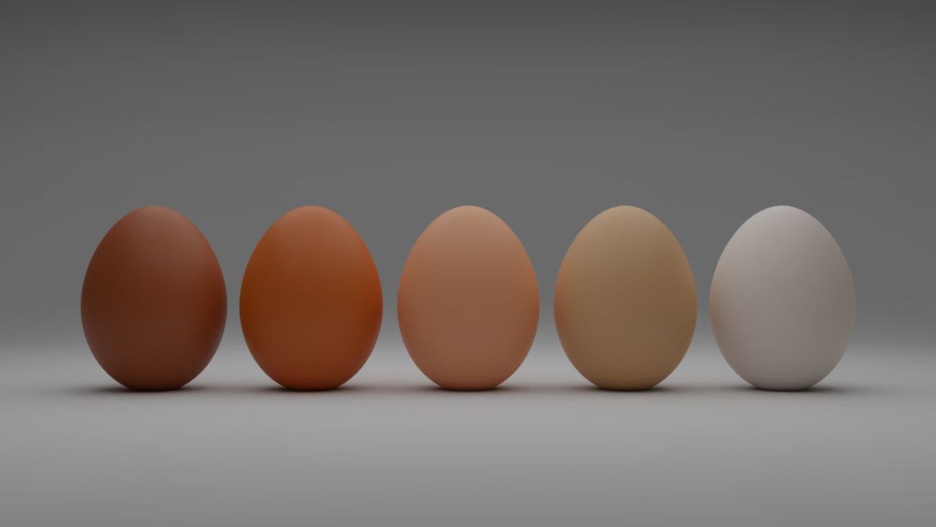 7+ аргументов в пользу того, что яйца кур продлевают жизнь