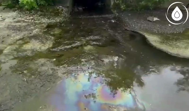 Автостоянка и пивзавод незаконно сливали отходы в реку Восточный Дагомыс в Сочи