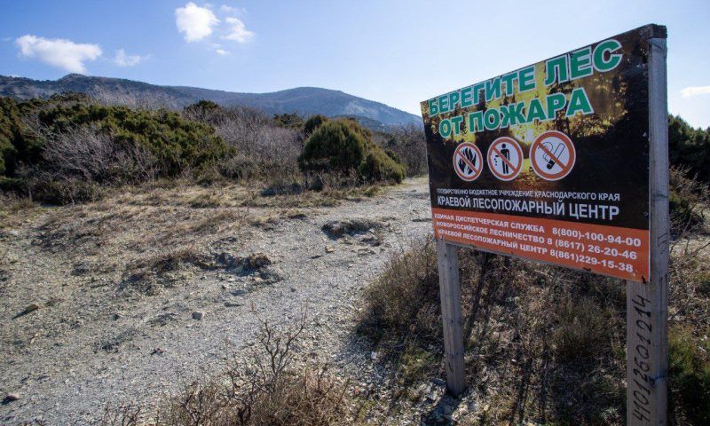 В Анапе с 3 мая введут запрет на разведение костров в лесах