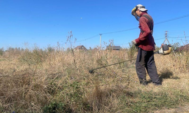 Почти 1,5 тыс. гектаров сорняков и амброзии скосили в Краснодаре