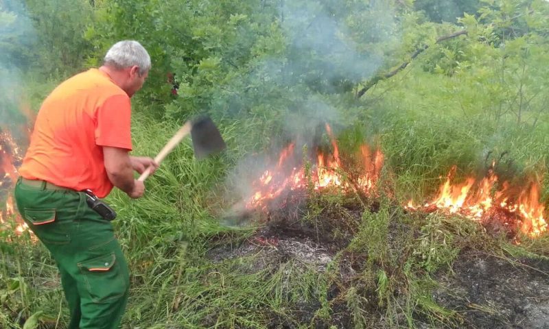 Лесной пожар выжег 3 тыс. кв. метров сухой травы в Армавире