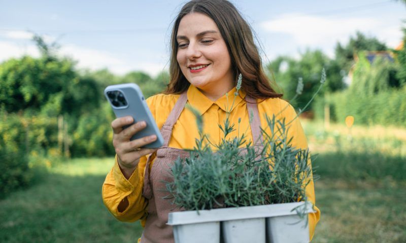 Краснодарские садоводы стали активнее в интернете