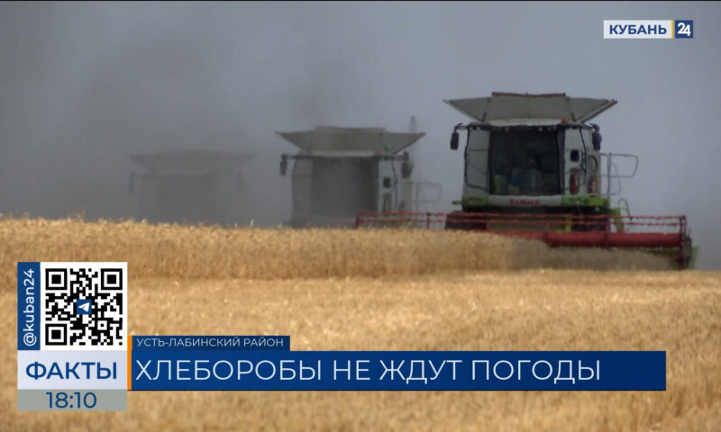 В Усть-Лабинске приступили к уборке зерна на две недели раньше сроков