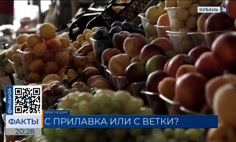 Сезон фруктов: сколько стоят местные и импортные абрикосы в Краснодаре