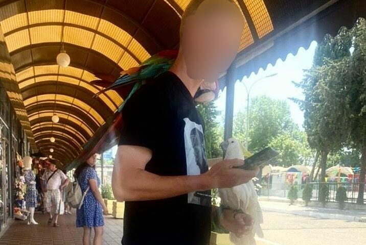 В Сочи у уличных фотографов забрали попугаев ара и какаду
