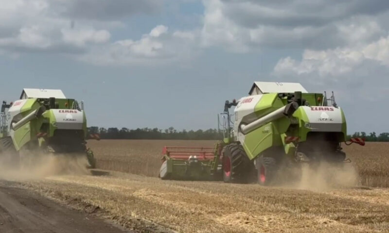Кондратьев: в первую неделю уборочной кампании намолотили 1 млн тонн зерновых