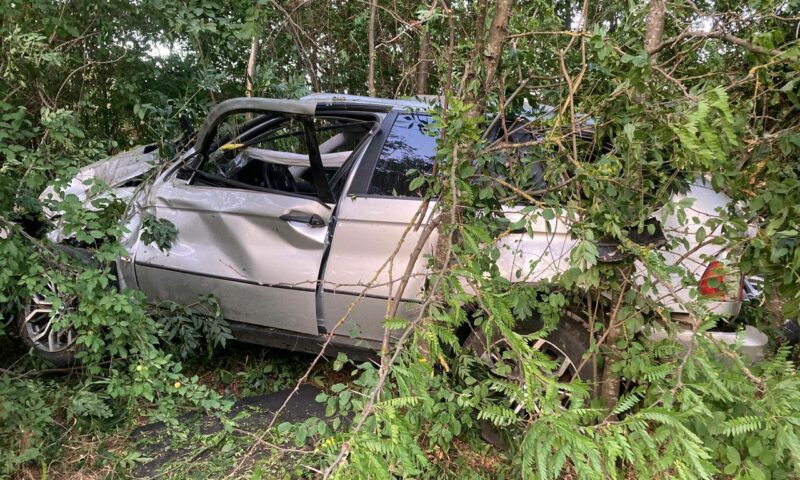 Водитель легковушки погиб, врезавшись в дерево в Краснодарском крае