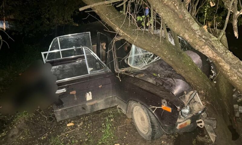 Водитель «шестерки» погиб, врезавшись в дерево в Лабинском районе