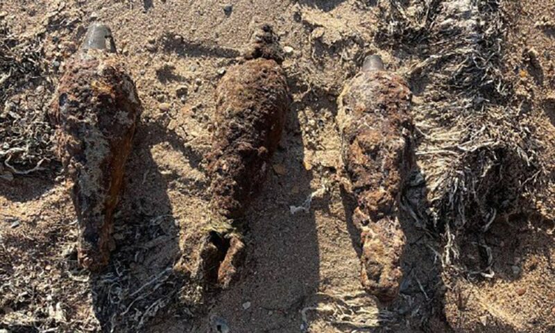 Три мины времен войны нашли туристы на пляже под Анапой