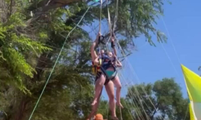 Туристов на парашюте занесло на дерево в Темрюкском районе