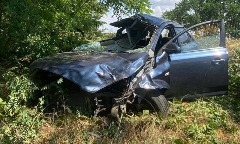 Иномарка вылетела с дороги и врезалась в дерево на Кубани, водитель погиб