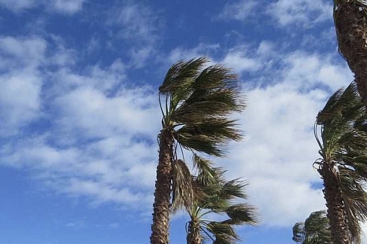 Штормовой ветер с порывами до 17 м/с ожидается 26 июня в Сочи