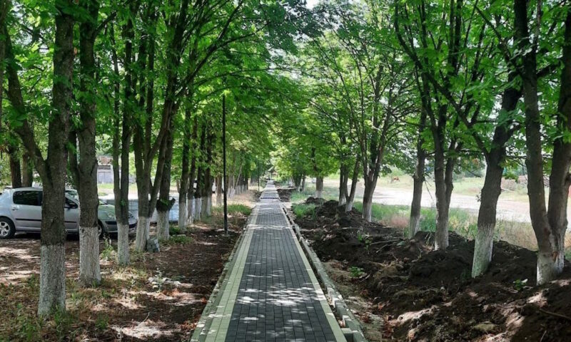 В Каневском районе осенью завершат обновление зеленой зоны возле СКЦ «Досуг»