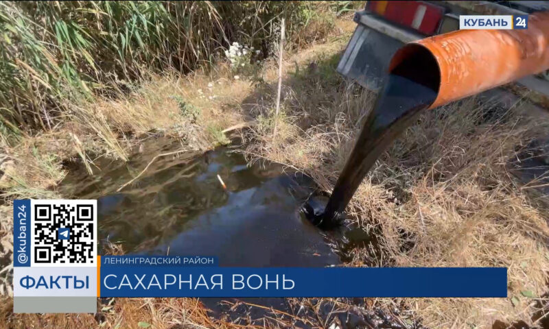 Жители станицы Ленинградской пожаловались на стойкий запах канализации